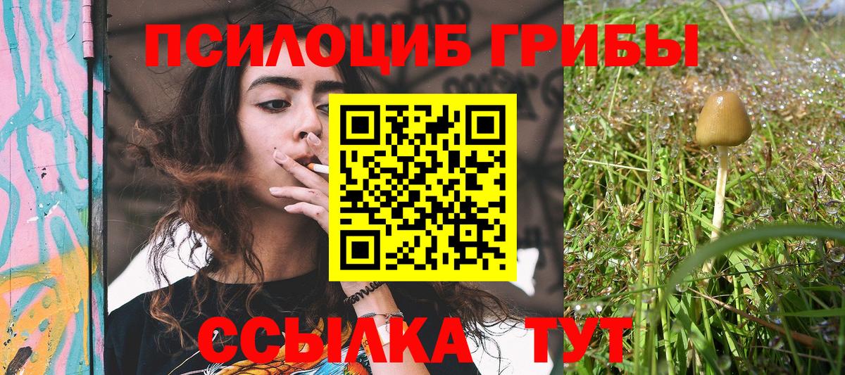наркотики  Вход с VPN  Химки  Галлюциногенные грибы прущие грибы 